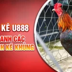 Gà Linh Kê Là Gì? Điểm Danh Các Loại Gà Linh Kê Khủng