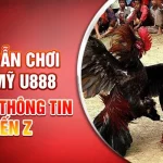 Hướng Dẫn Chơi Đá Gà Mỹ U888 | Cung Cấp Thông Tin Từ A Đến Z