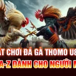 Luật Chơi Đá Gà Thomo U888 Từ A-Z Dành Cho Người Mới