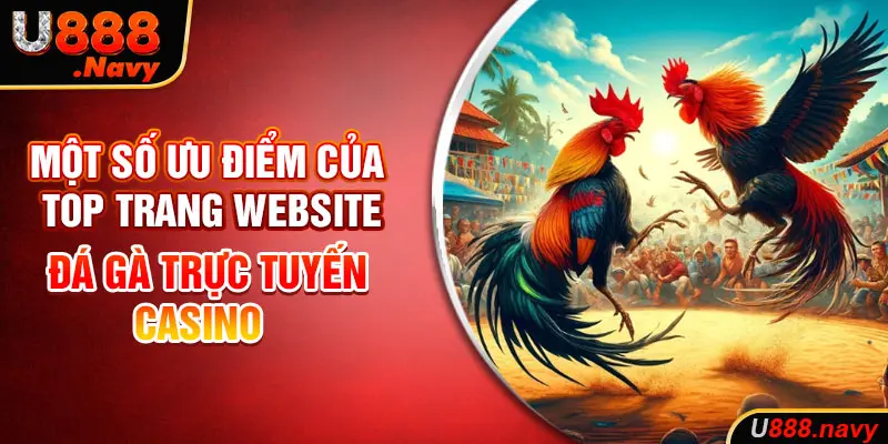 Một số ưu điểm của website đá gà trực tuyến