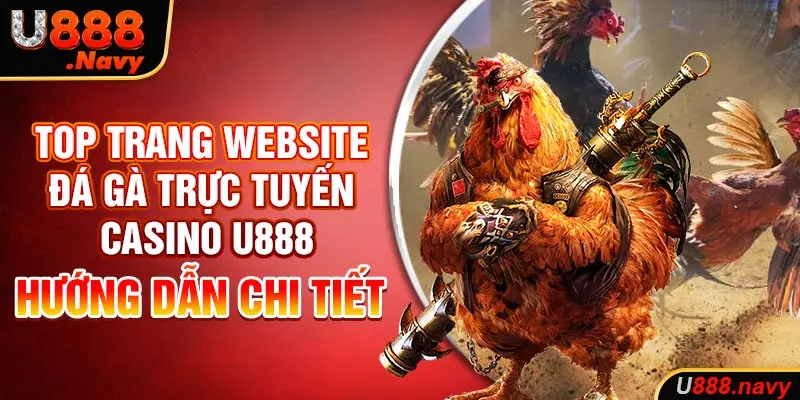 Top trang website đá gà trực tuyến